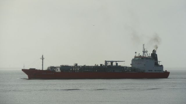 Pertusola - estuaire - 26 janvier 2013 (04).JPG